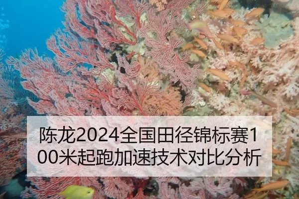 陈龙2024全国田径锦标赛100米起跑加速技术对比分析