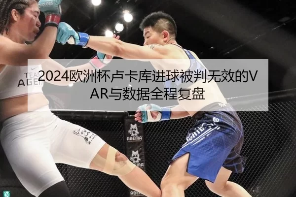 2024欧洲杯卢卡库进球被判无效的VAR与数据全程复盘